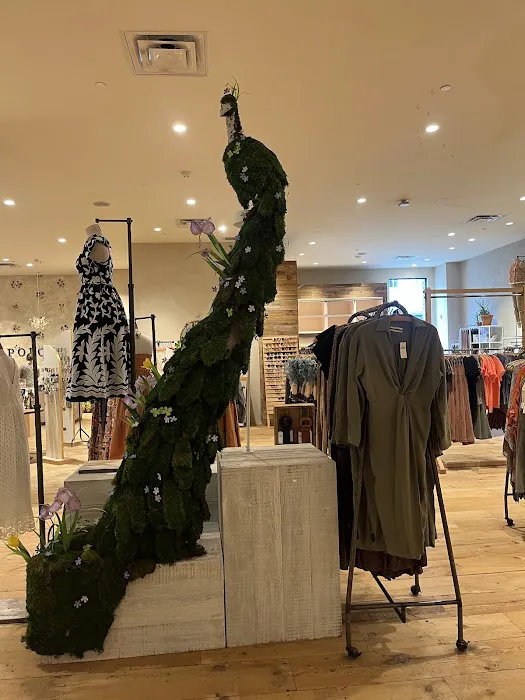 Anthropologie 1