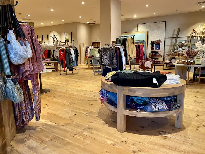 Anthropologie 7