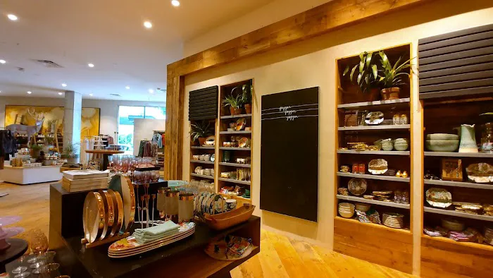 Anthropologie 9