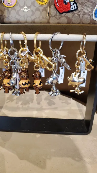 COACH Outlet 6