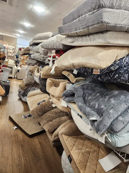 HomeGoods 8