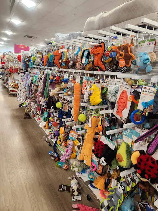 HomeGoods 9