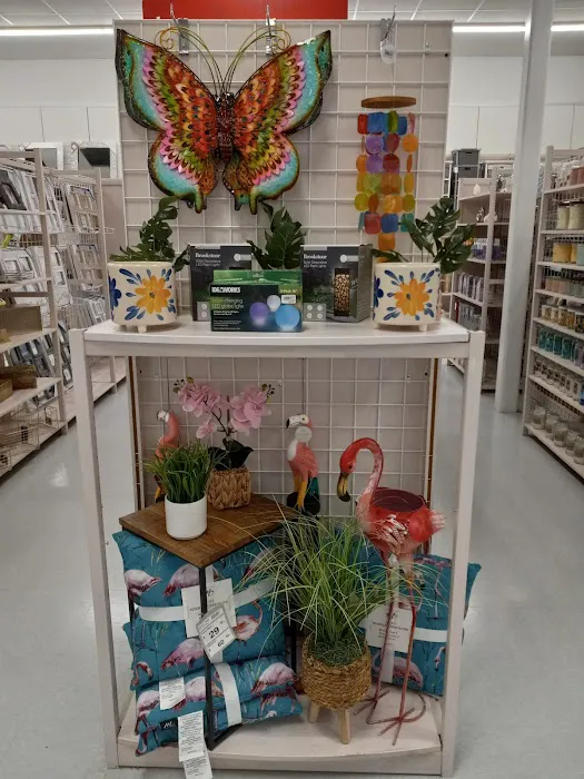 bealls 8