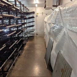 Walgreens ico