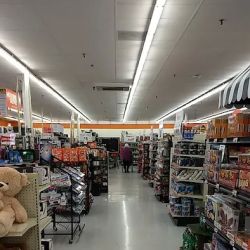 Big Lots ico