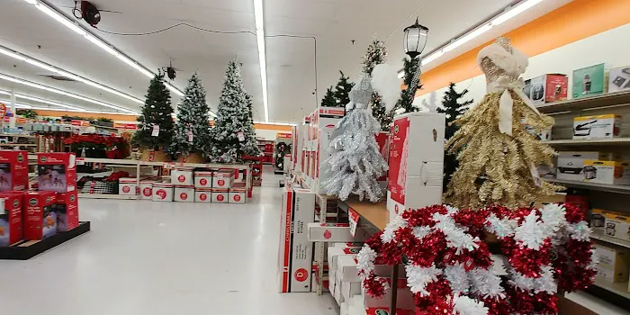 Big Lots 4