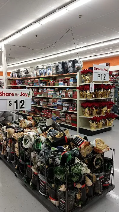 Big Lots 5