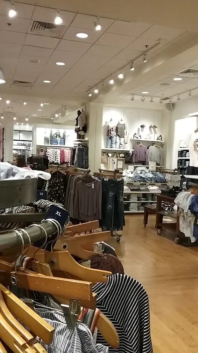 American Eagle & Aerie 3
