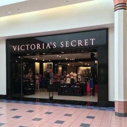 Victoria's Secret & PINK by Victoria's Secret ico