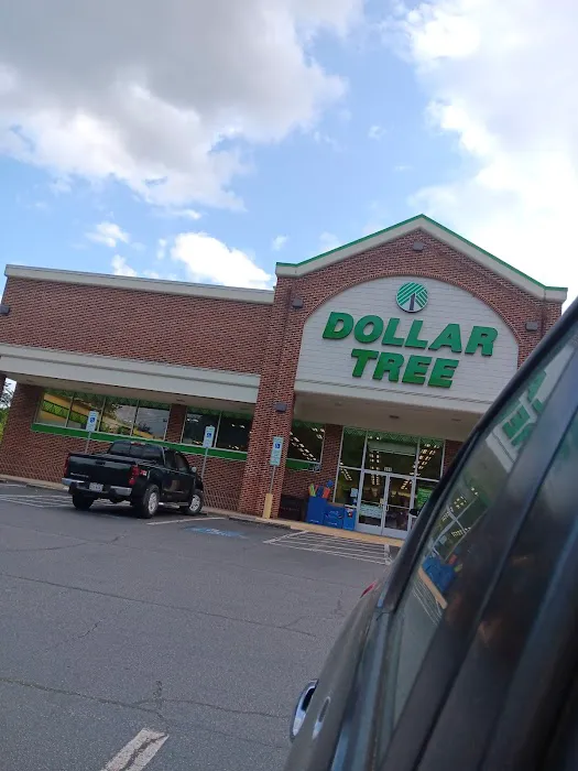 Dollar Tree 4