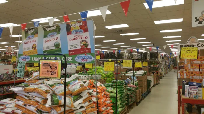 Ollie's Bargain Outlet 1