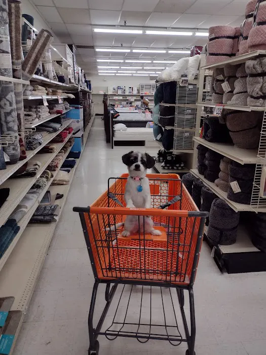 Big Lots 4