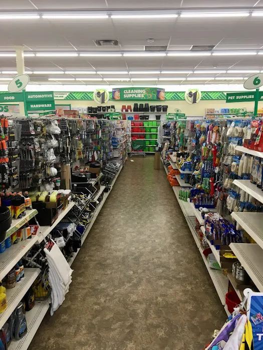 Dollar Tree 1