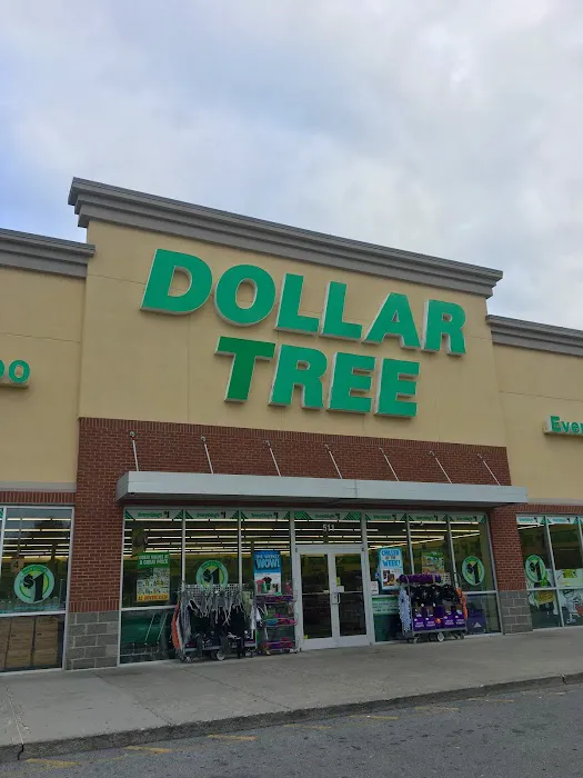 Dollar Tree 3