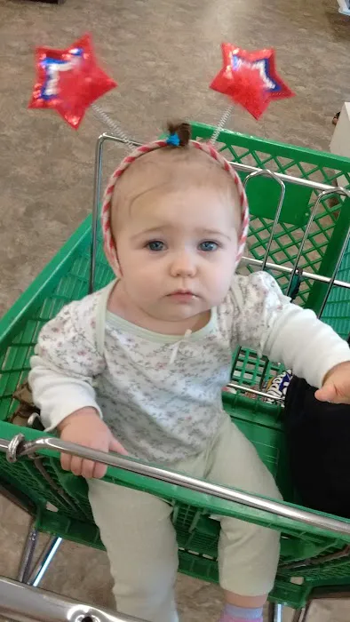 Dollar Tree 4
