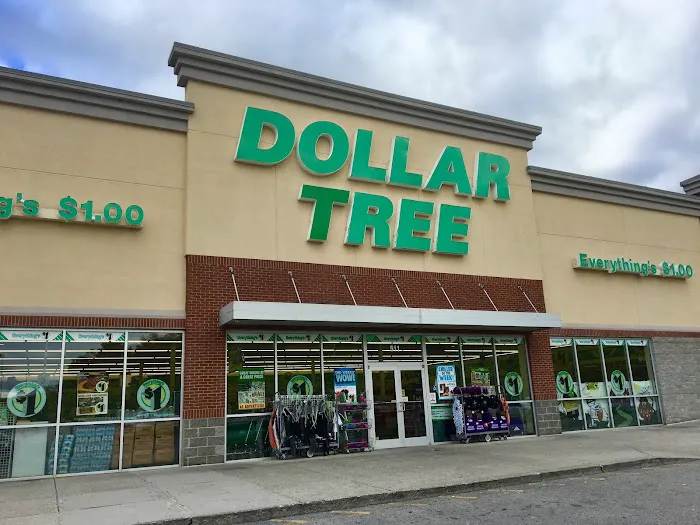 Dollar Tree 6