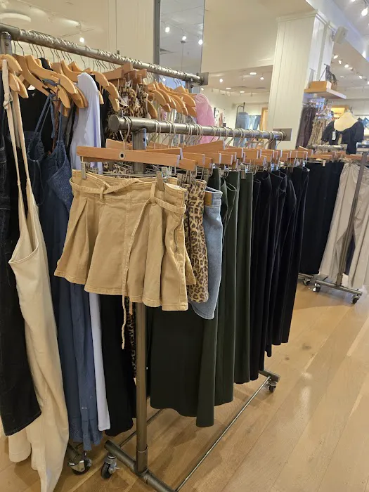 American Eagle 4