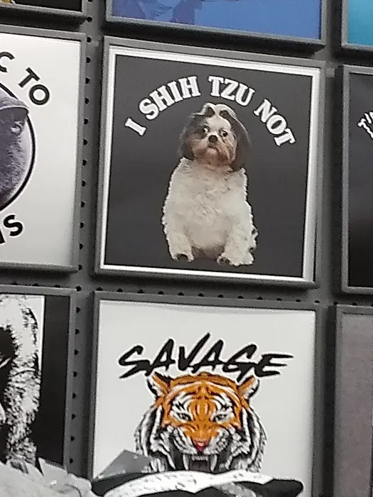 Five Below 5