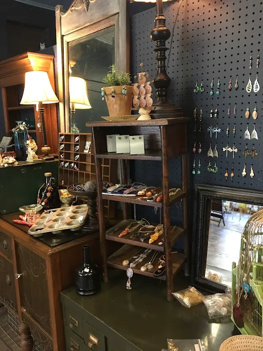 Inner Perfect Curiosities Shop + Apothecary & Community Space - Intuitive / Energy, Classes & More 5