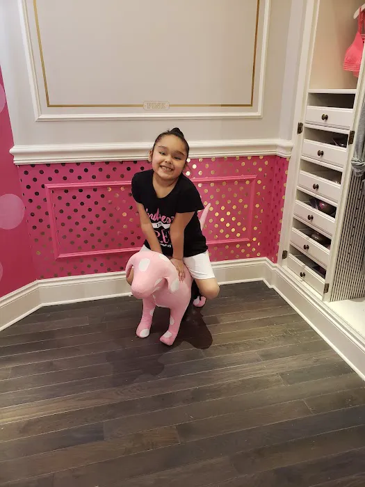 Victoria's Secret & PINK by Victoria's Secret 9