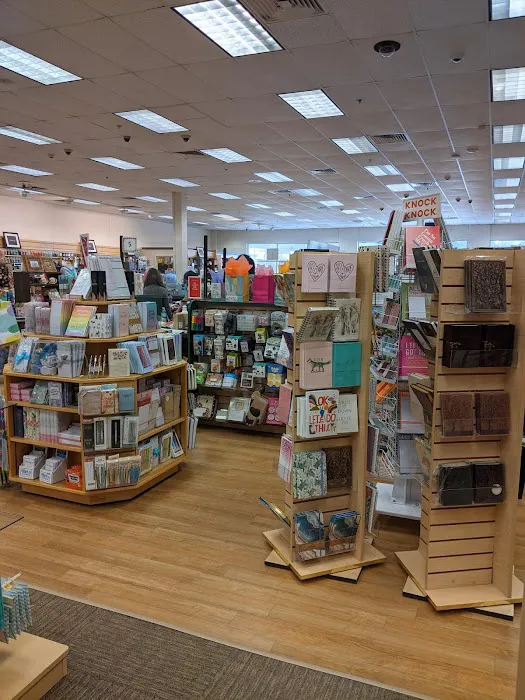 The Paper Store 5