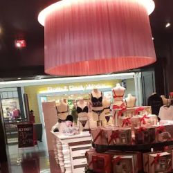 Victoria's Secret & PINK by Victoria's Secret ico