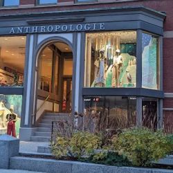 Anthropologie ico