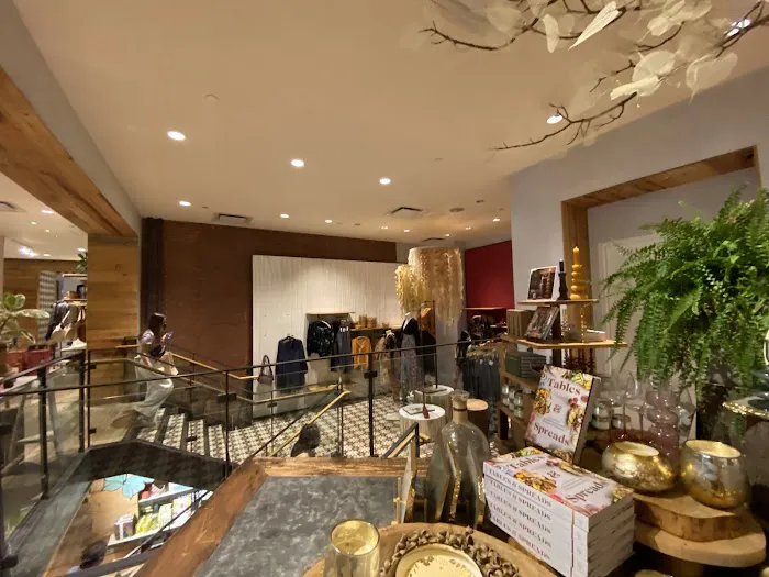 Anthropologie 5
