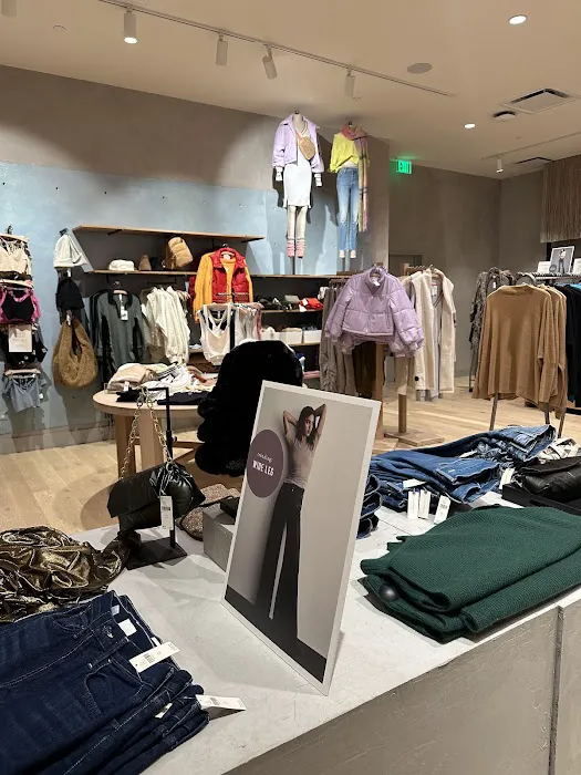 Anthropologie 7