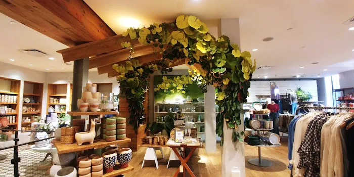 Anthropologie 8