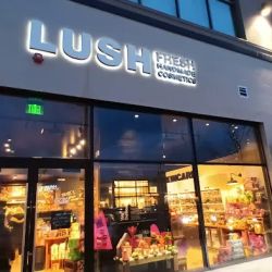Lush Cosmetics Lynnfield ico