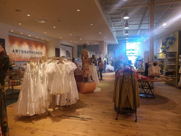 Anthropologie 0