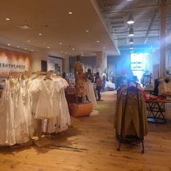 Anthropologie ico
