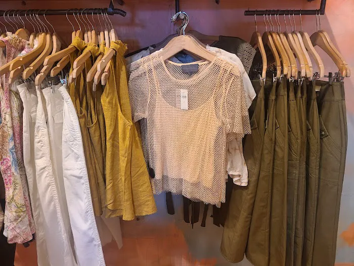 Anthropologie 5