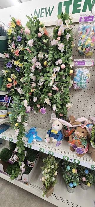 Dollar Tree 4