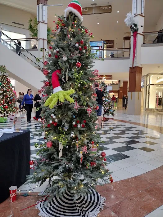 Macy's 2