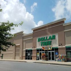 Dollar Tree ico