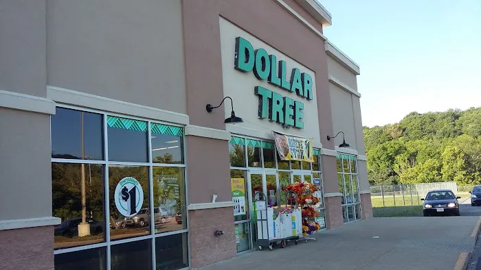 Dollar Tree 3