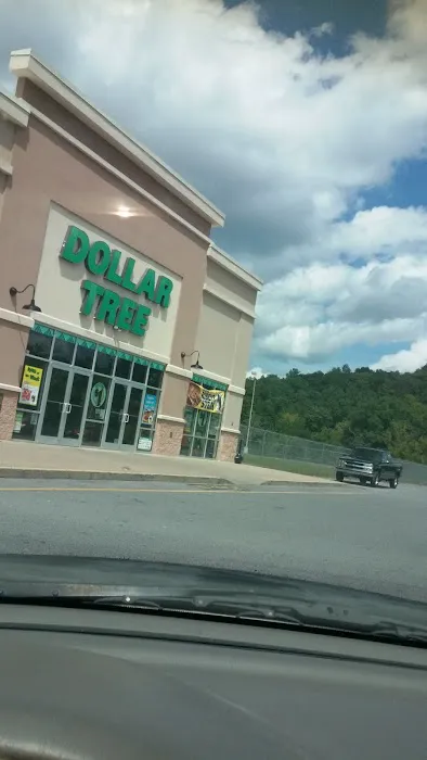 Dollar Tree 6