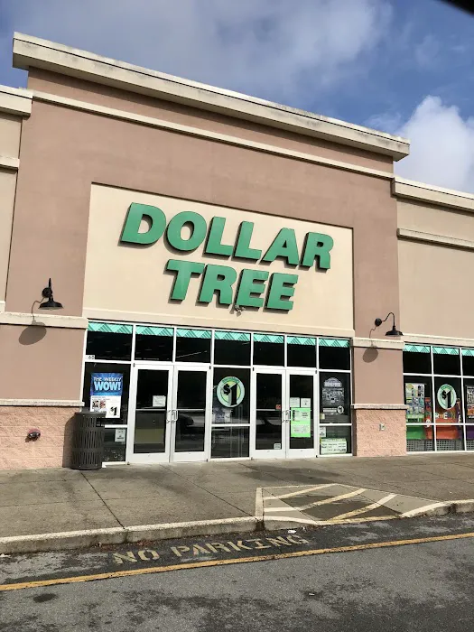Dollar Tree 8