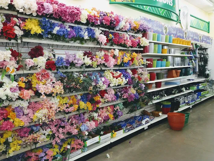 Dollar Tree 2