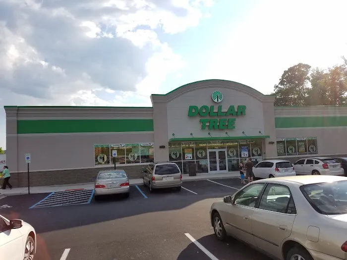 Dollar Tree 6