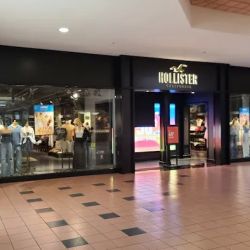 Hollister Co. ico