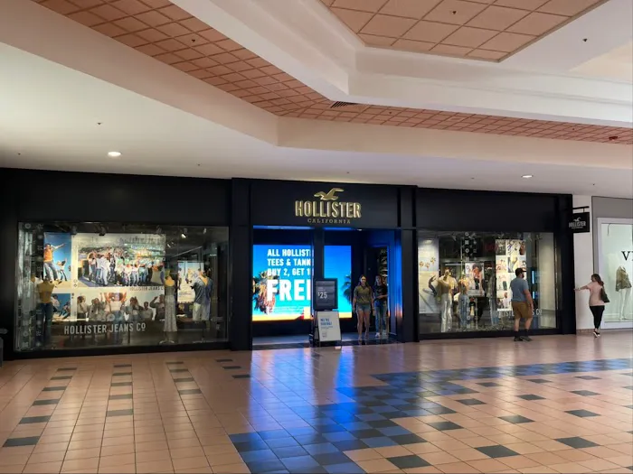 Hollister Co. 4