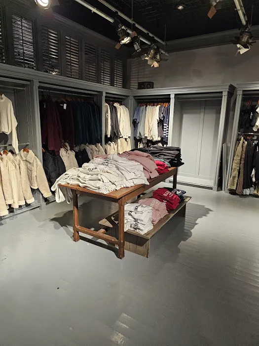 Hollister Co. 7