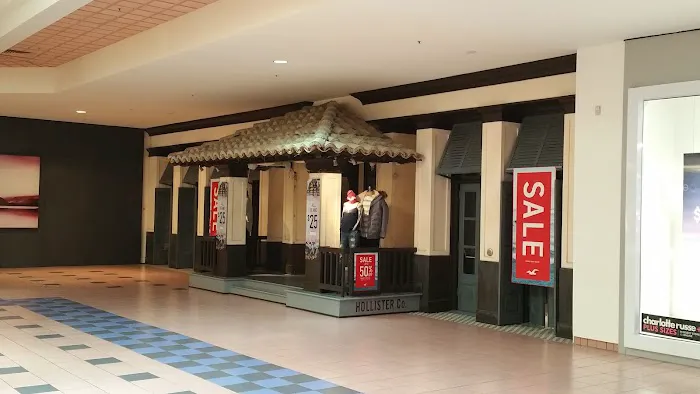 Hollister Co. 6