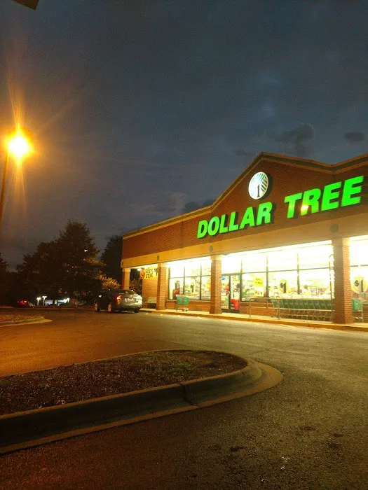 Dollar Tree 1