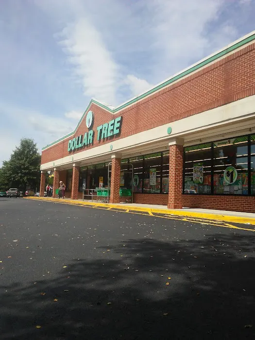 Dollar Tree 6