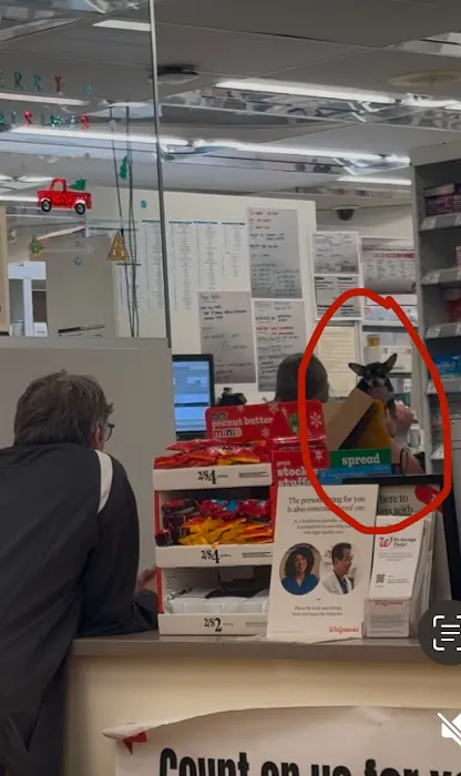 Walgreens 3