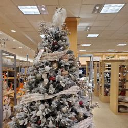 Dillard's ico